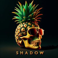 Shadows(@Shadows653) 's Twitter Profile Photo