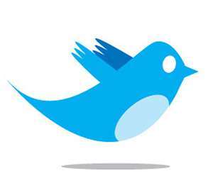 tweeterboard1's profile picture. 