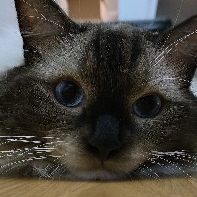 w372176477224's profile picture. 