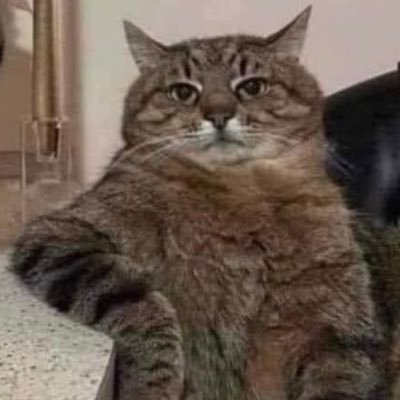 BabzReal's profile picture. Philly 🔔 gal 💉x5 😷 Here for the politics💙. Support🏳️‍🌈 🚫NO DM!!!🚫 #BanAssaultWeapons #BLM #voteblue 🌊#Resister #SlavaUkraini