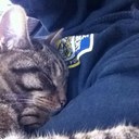 Elspeth Moss - @elspethmoss - Twitter