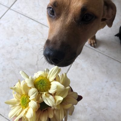 ka_kkkrying's profile picture. 