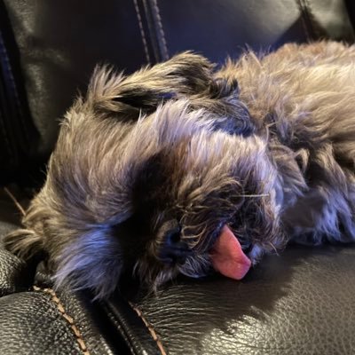 fade2blegh's profile picture. Like the great Caleb Shomo, “I’ll be bangin’ my head ’til my brain rots!” BLEGH