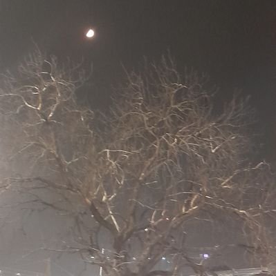 Data Engineer | Cloud Technology | Also Learning Devops | I write at https://t.co/Avs9gyKi0D