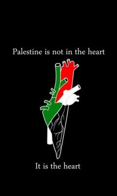 Justice, a prerequisite for peace for Palestine! Freedom,Liberation, SPEAK!

When Allah SWT said 'I test only those I love'
I took the Pain like it was a Honor.