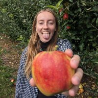 lily houtman (@lilyhoutman) 's Twitter Profile Photo lily houtman (@lilyhoutman) 's Twitter Profile Photo