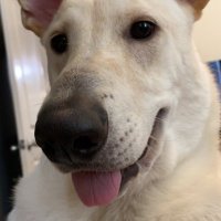 El Tio Pacho ยฎ (@pachotio36729) 's Twitter Profile Photo El Tio Pacho ยฎ (@pachotio36729) 's Twitter Profile Photo
