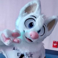 Wuskies! (@wuskies_) 's Twitter Profile Photo Wuskies! (@wuskies_) 's Twitter Profile Photo