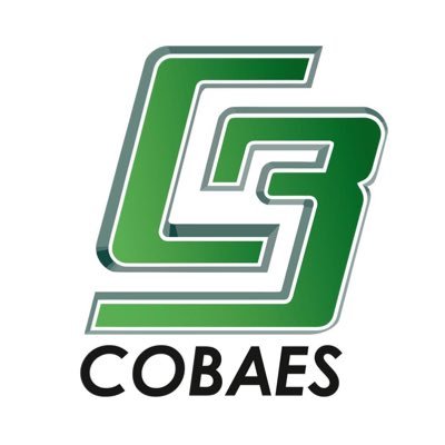 CobaesSinaloa Profile Picture