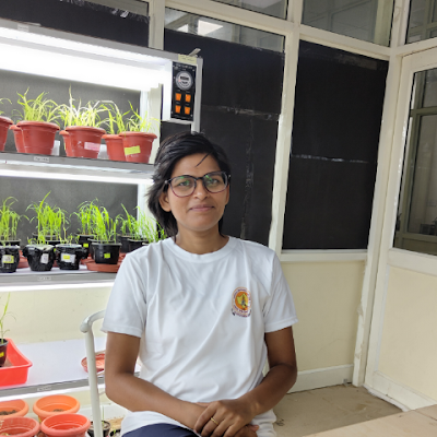 Research scholar at central university of Rajasthan