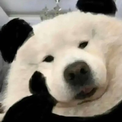 xmlhaha's profile picture. 