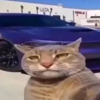He/They | Nebraska/Kansas SSBU | Kazuya | 19 | OSHA Certified | COYS | #1 Post Malone Enjoyer|