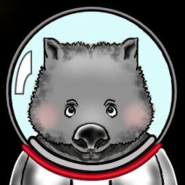 orbiting_wombat Profile Picture