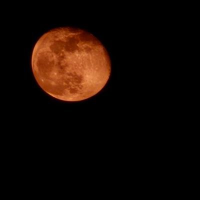 Amgg113's profile picture. 