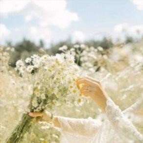 shjingford42261's profile picture. 起業家・投資家  ニューヨーク在住  お金に困ってる人の為に現金プレゼントを始めました。  毎日10万円プレゼント中です！ フォローでご参加ください✨
 ココから🤙🏻 https://t.co/ZI6uDZTegS