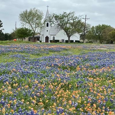 University of Texas cum laude Microbiology ASCP Medical Technologist Retired Microbiologist Christian Conservative. No DMs!