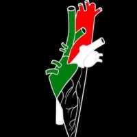 #NetanyahuTheWarCriminal (@ansari87ahmad) 's Twitter Profile Photo #NetanyahuTheWarCriminal (@ansari87ahmad) 's Twitter Profile Photo