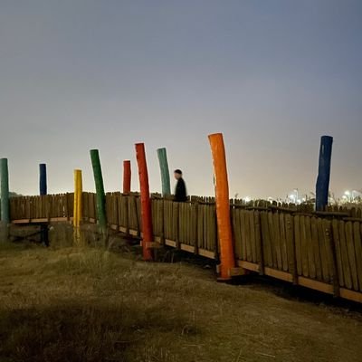 iyonghwa54209's profile picture. 