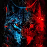 راشد (@daaral5leefa) 's Twitter Profile Photo