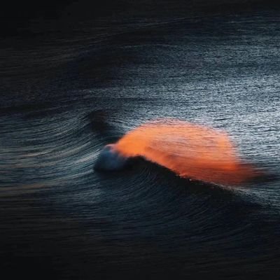 estellz429's profile picture. 