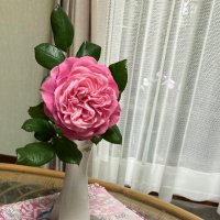 mike (@mike260910) 's Twitter Profile