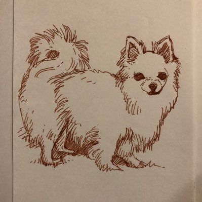 damodamoさんのプロフィール画像