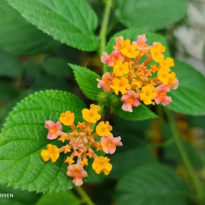 arttool14644's profile picture. 