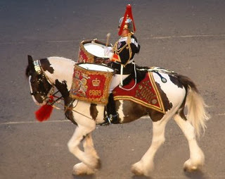 Musician in The Band of The Blues and Royals. One of only 2 mounted bands in the British Army...*FOLLOW @RHGDBand