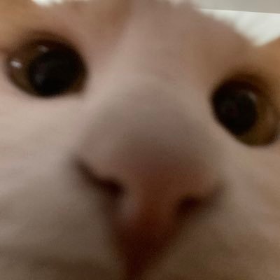 nkhoitwit's profile picture. 