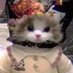 ยิวเลตตี้ (@24jn_) Twitter profile photo ยิวเลตตี้ (@24jn_) Twitter profile photo