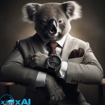 Kaia-xAI Community - Fintech Advisory - Crypto Enthusiast - Meme Carrier $xAI Management