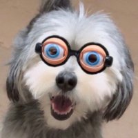 つんこむ (@koh110028) 's Twitter Profile Photo つんこむ (@koh110028) 's Twitter Profile Photo