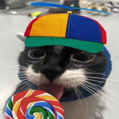 NoLifeNetwork2's profile picture. Your local discord funny man