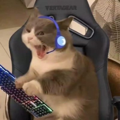 ぱむさんのプロフィール画像