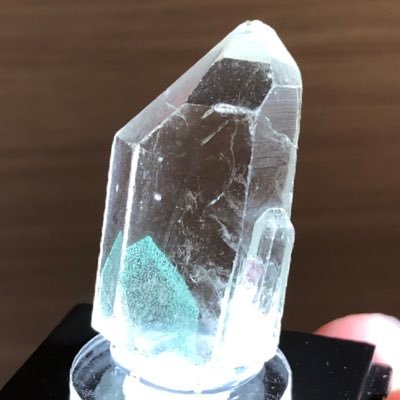 G_Duckbill's profile picture. 基本石沼に浸かっているグリン、石沼に浸かると心が癒され、諭吉が溶ける😇 つぶやくかな、つぶやかないかな、くらいのユルユル垢🪨ガーネット・フローライト・インクォーツ・化石系・トルマリンの沼にチャプチャプしがち、でも結局色々好き✨石禁しながらガンプラも作るぞ！ソフビも沼だぞ！ガチャガチャもおもちゃも大好きだ！