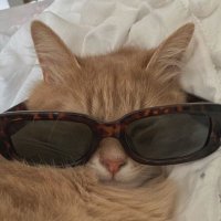 Merve (@mrvqx0) 's Twitter Profile Photo