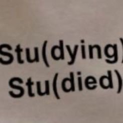 geprektiaphari's profile picture. tryin' to have a good sleep for better life