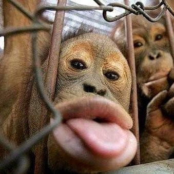 GypSea842180's profile picture. 