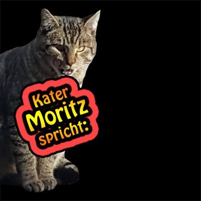 Mit Satire, Ironie und Sarkasmus rebelliert der Kater gegen den Zeitgeist. Dabei verlässt er sich auf seine KI (Kater-Intelligenz), die ihm gegeben wurde!