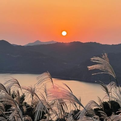 chiwoo05's profile picture. 치우  무색무취  자유 게으름 건강 웃음 경제 시골의