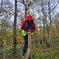 Marie-Charlott Petersdorf (@mariepetersdorf) Twitter profile photo