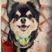 aikenlook (@aikenlook) 's Twitter Profile Photo