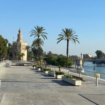 Albaontour's profile picture. Husband, Dad, Project Professional, Parent Governor ….etc