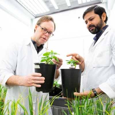 IUFRO World Congress Profile
