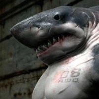 π΄ββ οΈπΈππ¨π¦CON-tribuable π¨π¦ππΈπ΄ββ οΈ (@domesurvivor) 's Twitter Profile