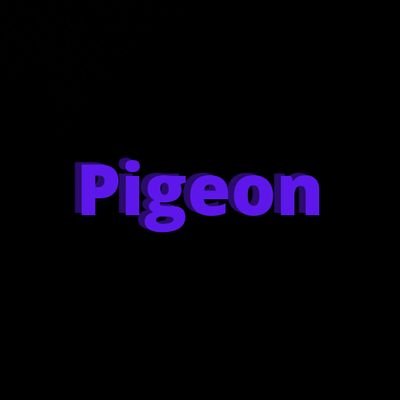 Pigeon.🕊️❤️