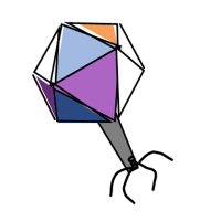 Polish Viruses of Microbes (@psrvm_poland) 's Twitter Profile