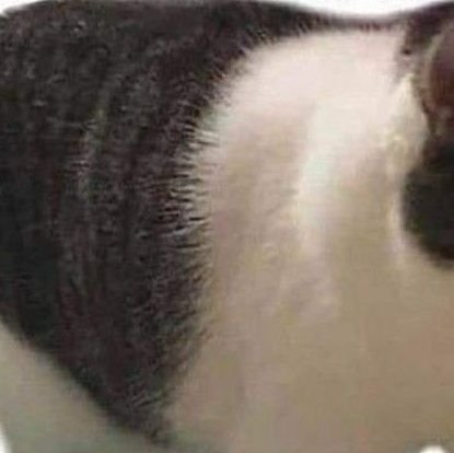 xishsbsys's profile picture. 