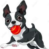 Kristina Vujicic (@grkovickri50456) 's Twitter Profile