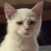 Traubenschorle (@mia_gdn) Twitter profile photo Traubenschorle (@mia_gdn) Twitter profile photo